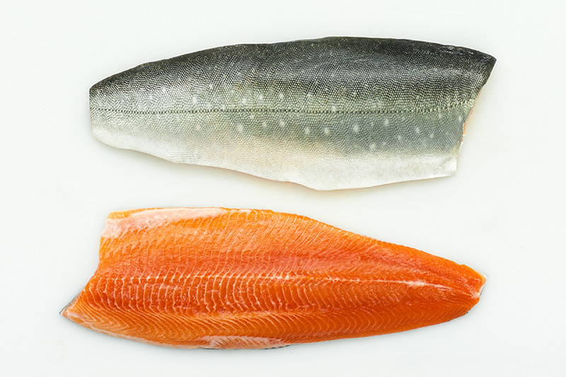 Arctic char
